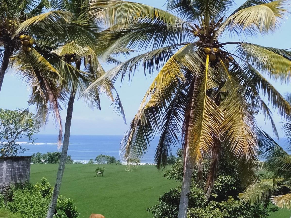 Medewi Beach View Villa Jembrana Exterior foto